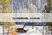 2023中超球队氛围，2023年中超