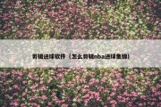 剪辑进球软件（怎么剪辑nba进球集锦）