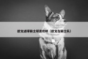 欧文进球骑士球迷欢呼（欧文在骑士队）