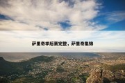 萨里奇季后赛完整，萨里奇集锦
