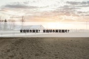 家庭球衣展览？ 家庭球衣展览图片？
