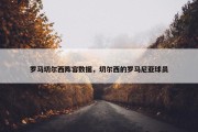 罗马切尔西阵容数据，切尔西的罗马尼亚球员