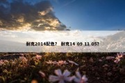 耐克2014配色？ 耐克14 09 11 05？