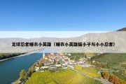 足球忍者睡衣小英雄（睡衣小英雄猫小子与小小忍者）