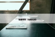 仙居球队（仙居足球）