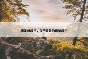 国足进段子，关于国足的搞笑段子