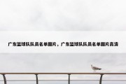 广东篮球队队员名单图片，广东篮球队队员名单图片高清