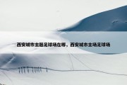 西安城市主题足球场在哪，西安城市主场足球场