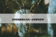足球奖颁奖典礼时间（足球颁奖奖项）