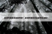 欧洲杯西班牙连续传球？ 欧洲杯西班牙连续传球视频？