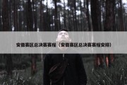 安徽赛区总决赛赛程（安徽赛区总决赛赛程安排）
