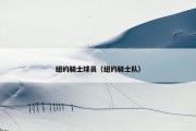 纽约骑士球员（纽约骑士队）