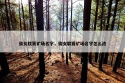 倩女联赛矿场名字，倩女联赛矿场名字怎么改