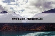 现在甘肃足球队（甘肃省足球队u16）