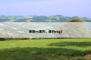 液体vs黑豹，黑豹vsg2