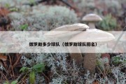 俄罗斯多少球队（俄罗斯球队排名）