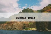 欧冠集锦王霜，欧冠王者
