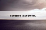 哈士奇猜欧洲杯（哈士奇是哪只球队）