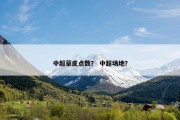 中超草皮点数？ 中超场地？