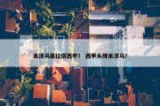本泽马莫拉塔西甲？ 西甲头牌本泽马？