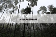 女足武汉的简单介绍
