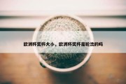 欧洲杯奖杯大小，欧洲杯奖杯是轮流的吗