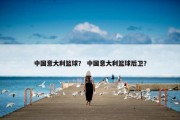 中国意大利篮球？ 中国意大利篮球后卫？