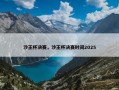 沙王杯决赛，沙王杯决赛时间2025