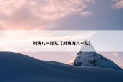 刘涛八一球队（刘海涛八一队）