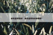 田东篮球球员？ 田东篮球球员有哪些？