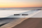 金基球队？ 金基投资？