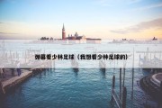 弹幕看少林足球（我想看少林足球的）