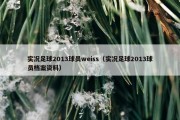 实况足球2013球员weiss（实况足球2013球员档案资料）