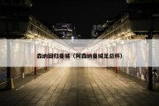 森纳回归曼城（阿森纳曼城足总杯）