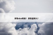 野生nba球员？ 野生篮球人？
