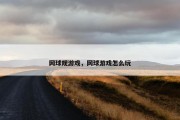 网球规游戏，网球游戏怎么玩