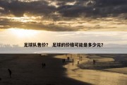 足球队售价？ 足球的价格可能是多少元？