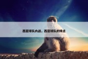 西亚球队内战，西亚球队的特点