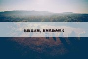 陈阵容郴州，郴州陈盈志照片