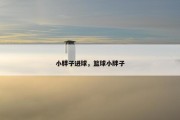 小胖子进球，篮球小胖子