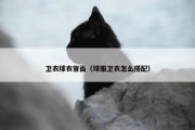 卫衣球衣背面（球服卫衣怎么搭配）