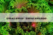 足球队有几支球队员？ 足球队有几支球队员组成？