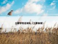 三郎学校足球队（三郎体育）