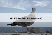 拜仁慕尼黑sn（拜仁慕尼黑是哪个城市）