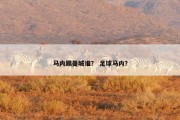 马内踢曼城谁？ 足球马内？