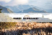 砍骑阵容？ 骑砍最强兵种配置？