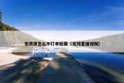 东琪琪怎么不打季后赛（东琦直播视频）