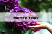 精密狙神烬阵容？ 精密狙击枪？
