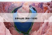 足球什么呀（请问一下足球）