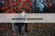 社区足球赛李沧（社区足球试点城市）